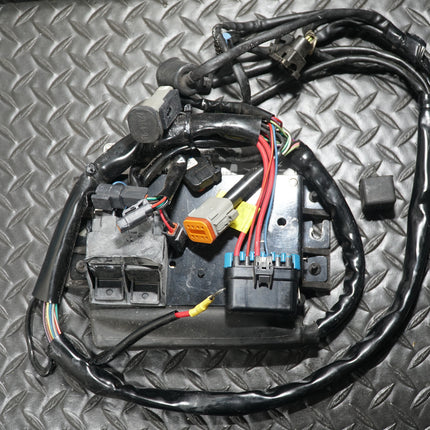Harley Touring Road King Magneti Marelli ECM ECU Ignition Module Harness
