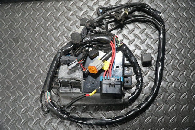 Harley Touring Road King Magneti Marelli ECM ECU Ignition Module Harness