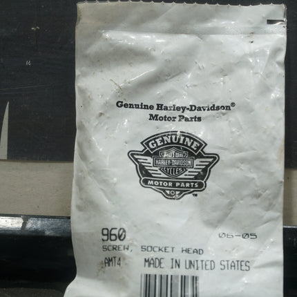 Harley Davidson Socket Head Screw 960 Genuine OEM New