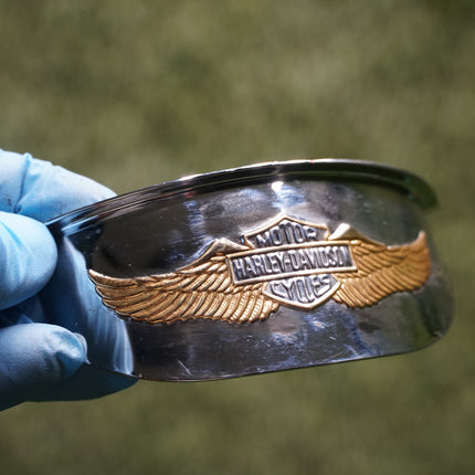 Harley Eagle Wing & Turn Signal Lamp Visors Set Softail Touring 67796-91T