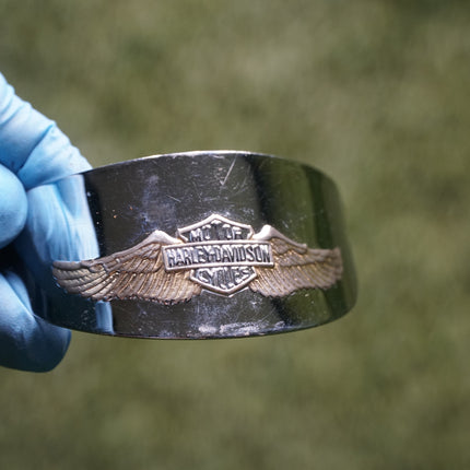 Harley Eagle Wing & Turn Signal Lamp Visors Set Softail Touring 67796-91T