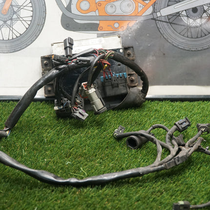 Harley Touring Magneti Marelli EFI ECM Computer & Wiring Harness 32423-99 Used