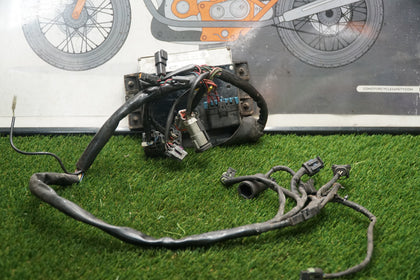Harley Touring Magneti Marelli EFI ECM Computer & Wiring Harness 32423-99 Used photo 1
